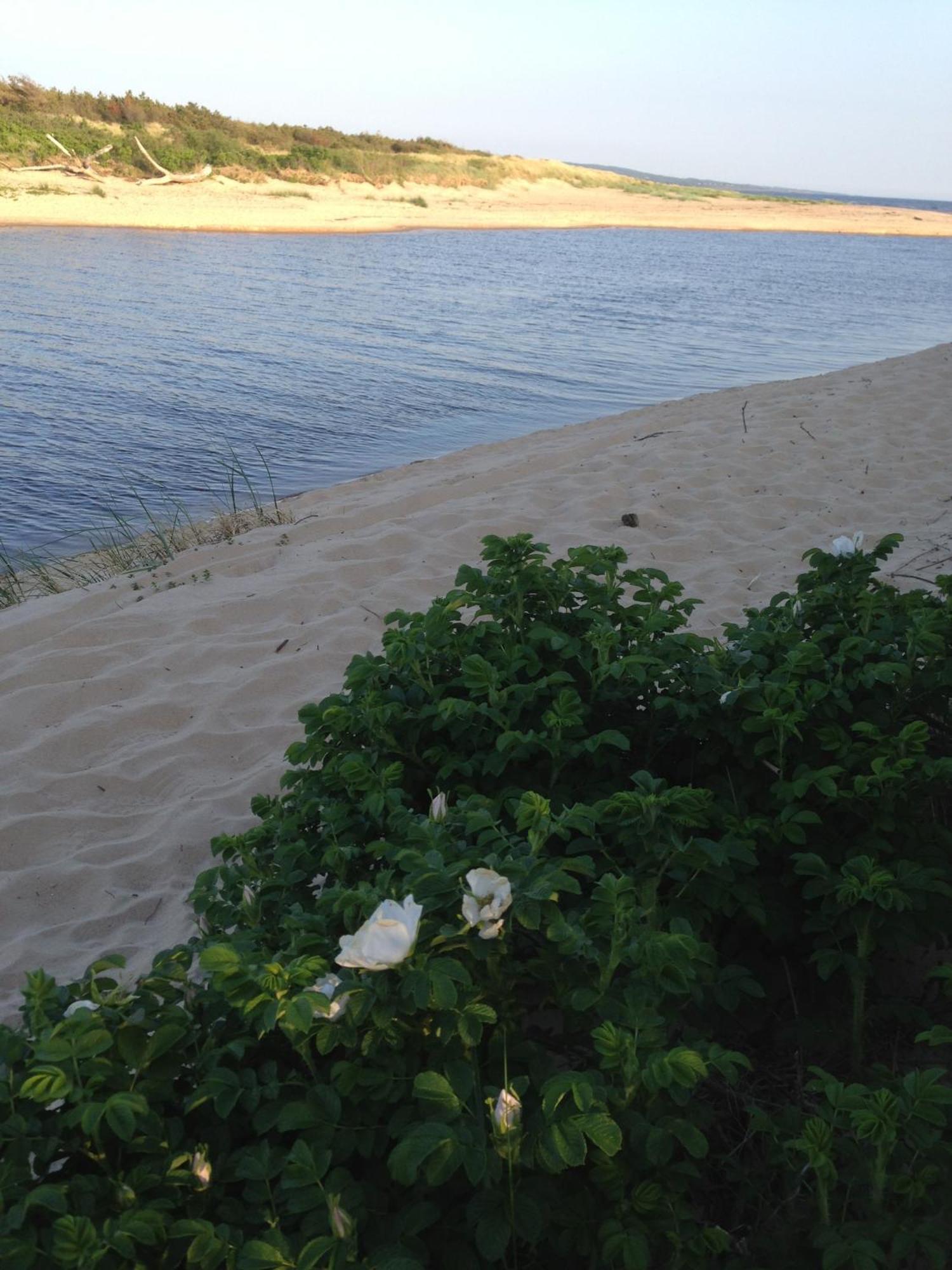 Brogard Bed and Breakfast Falkenberg Buitenkant foto